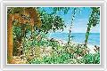  3  Coral Bay