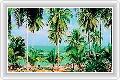  4  Coral Bay