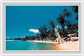  1  Paradise Beach Resort