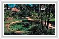  2  Paradise Beach Resort